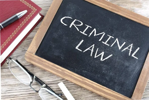 Criminal Case Litigation